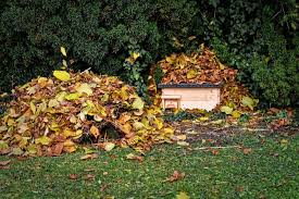 Gerade der september ist noch einmal so richtig arbeitsintensiv. Der Garten Im September Das Ist Jetzt Zu Tun 1fachclever