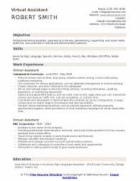 The trick to writing a cv with no experience is finding creative ways show you have the transferable skills needed to make you a fantastic hire. Virtual Assistant Resume Samples Qwikresume