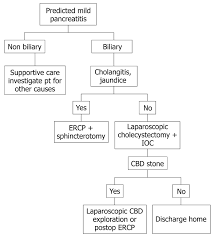 The leading source for trustworthy and timely health and medical news and information. Acute Pancreatitis At The Beginning Of The 21st Century The State Of The Art