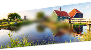 If you see a listing you like, click the photo to view details. Company