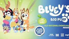 Bluey's Big Play