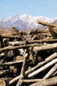 Save abetone to your lists. Wood Stack With Mountains In Abetone Italy Stock Photo Picture And Royalty Free Image Image 13306556