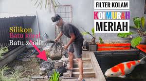Filter Kolam Koi Jernih Sampai Satu Tahun Youtube