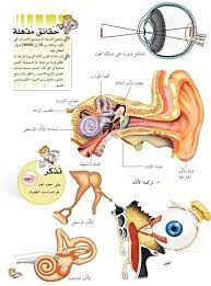 pin by سنا الحمداني on قراءات white out tape supplies white out