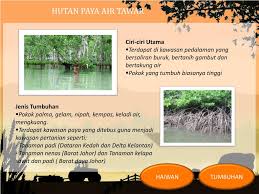 For more information and source, see on this link : Ppt Geografi Tingkatan 1 Powerpoint Presentation Free Download Id 6961144