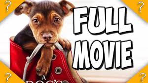 Pierce gagnon, dean cain, dwayne boyd and others. A Dogs Way Home Full Movie Here Youtube