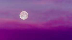 Stream tracks and playlists from lunarosada on your desktop or mobile. Luna Rosa Cada Cuanto Ocurre Y Cuando Sera La Siguiente