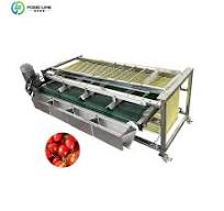 Factory Price Vegetables Roller Sorting Machine Citrus Fruit CucumberPotato  Grading Machine