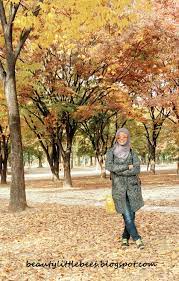 Musim luruh di korea bermula seawal september hingga november. Beauty Little Bees Stories Travelog Autumn Korea 2016 Persediaan Ke Seoul Korea Selatan Musim Luruh