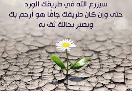 خواطر صباحية دينية Arabic Quotes