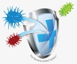 Shield Potion Png Big Shield Pixel Art Free Transparent Clipart Clipartkey Potion minecraft , potions transparent background png clipart. shield potion png big shield pixel