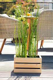 Extravaganter Sichtschutz Schachtelhalm Teichpflanzen Sichtschutz