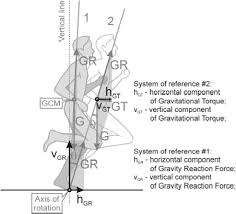 Gravitational Torque-Falling Angle - MASTERING MOVEMENT