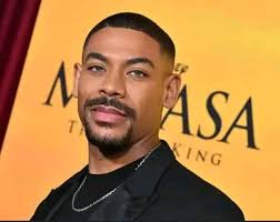 Ladies and gentlemen, Mesdames et Messieurs,damas y caballeros,meine Damen  und Herren: Aaron