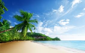 We did not find results for: 45 Beach Wallpaper For Mobile And Desktop In Full Hd For Download