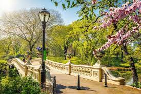 Our location offers easy access to both dallas and fort worth. 15 Best Central Park Tours The Crazy Tourist