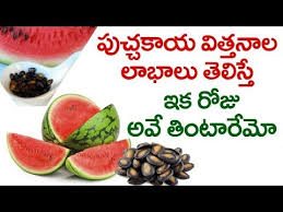 Amazing Health Benefits Of Water Melon Seeds Amazing Health Tips In Telugu Health F Health Benefits Of Carrots Carrot Juice Benefits Barley Health Benefits