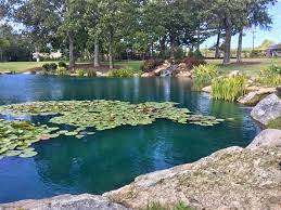 Check spelling or type a new query. Pond Dye Is It Worth The Money Platinum Ponds Lake Management Greenville Sc Charlotte Nc Asheville Nc