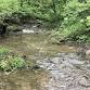 Creek Walk