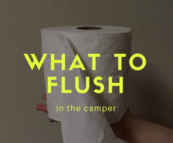 When you shop at sam's club, you can buy in bulk, which means you'll make fewer trips to the store and get the. Safe Camper Toilet Paper