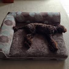 Maybe you would like to learn more about one of these? Large Pet Bed 60 At Costco 91 4cm X 106cm Very Good Quality Ozbargain