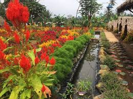We would like to show you a description here but the site won't allow us. Taman Seven Selfie Lampung Surganya Pencinta Foto Instagramable