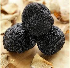 Check spelling or type a new query. Meme Afu Sharpen Yourself Day8 World S Most Expensive Mushroom Truffle Truffles Are Fungi Similar To Mushrooms But They Grow Entirely Underground You Can Typically Find Them On The Roots Of Various