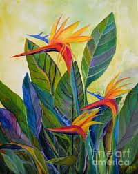 Painting Oil Painting Bird Of Paradise Flower Birds Of Paradise By Jane Ricker Art Painting Colorful Art Flower Art