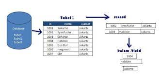 Kali ini saya mau ngebahas struktur database nih! Gambar 2 1 Struktur Database Download Scientific Diagram