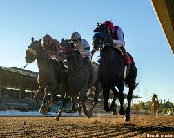 Medina spirit's victory in the kentucky derby is in serious jeopardy because of a failed postrace drug test, one medina spirit could lose kentucky derby win, churchill downs bans trainer bob baffert. Bargain Buy Medina Spirit More Than Paying His Way Thus Far Horse Racing News Paulick Report