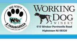 Working Dog Winery