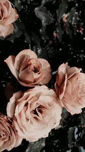 Tumblr purple, tumblr sky, retro, vintage, grunge, aesthetics. Aesthetic Lockscreen Tumblr Rose Wallpaper Tumblr Backgrounds Flower Wallpaper