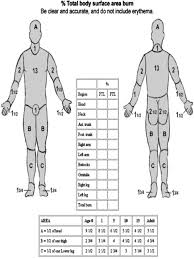 an overview of acute burn management in the emergency centre