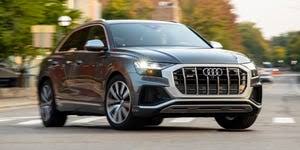 Image result for Paradise Green 2023 SQ8