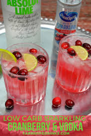 Low Carb Cranberry And Vodka I Can Have Even On A Low Carb Diet With This Sparkling Cranberr Low Carb Alcoholic Drinks Low Carb Cocktails Low Carb Mixed Drinks