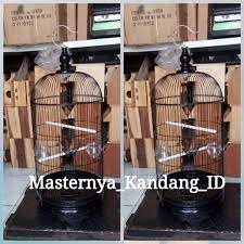 Sangkar burung ini biasanya dibuat mengikuti ukuran. Sangkar Besi Model Kapsul D33cm Merk Boom Tebok Kaki Buat Love Bird Falk Dll Shopee Indonesia