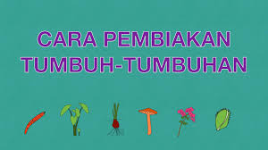 Sains Tahun 3 Cara Pembiakan Tumbuh Tumbuhan Cikgootube Cikguzoul Youtube