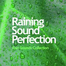 It affects almost every cell and region in the game. Rain Presence Song Download From Raining Sound Perfection Jiosaavn