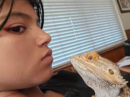 This my daughter and her boy Wilson Dinkleburg both giving the camera the  side eye 👀 🤣🤣🤣 they are definitely ment for each other. And of course  Queen Mr Queen basking in