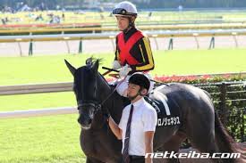 2021年6月27日、上半期を締めくくるグランプリ「宝塚記念」が阪神競馬場で開催される。 昨年、圧勝したクロノジェネシスが連覇を果たすのか。 となるとド真ん中すぎるので…… せめてレイパパレを1着固定にして夢を託すつもり。 とはいえ、なんだか今年の宝塚記念は大荒れす. å®å¡šè¨˜å¿µãƒ•ã‚¡ãƒ³æŠ•ç¥¨ ã‚¯ãƒ­ãƒŽã‚¸ã‚§ãƒã‚·ã‚¹ãŒé¦–ä½å®ˆã‚‹ æœ€çµ‚çµæžœã¯ï¼'ï¼æ—¥ç™ºè¡¨ ç«¶é¦¬ãƒ‹ãƒ¥ãƒ¼ã‚¹ Netkeiba Com