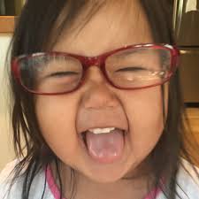 Is this a lost pet lizard