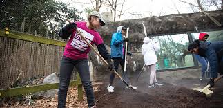 Maybe you would like to learn more about one of these? Mlk Service Day Tradition Continues At Southern For 27th Year Southern Tidings