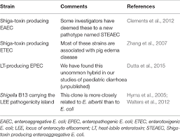 Правильно, в кишечнике человека кажется, что e. Frontiers Are Escherichia Coli Pathotypes Still Relevant In The Era Of Whole Genome Sequencing Cellular And Infection Microbiology