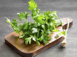 Cara nak bagi daun sup dan daun bawang segar. Petua Simpan Daun Sup Agar Kekal Segar Tahan Lama Tak Layu