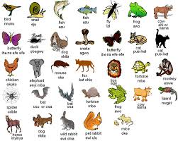 Igbo Names For Animals Learn English Animals Name In English English Vocabulary