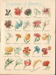 Most people love this flower; Glazed And Confused The Language Of Flowers