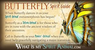 We did not find results for: Butterfly Animal Totem Meaning