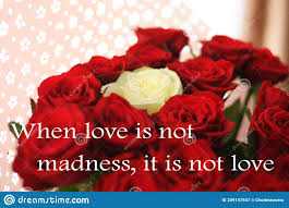 When Love Is Not Madness It Is Not Love Stock Image Image Of Phrases Successful 209157547