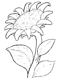 Sonnenblume Malvorlagen Kostenlos Blumen Ausmalen Malvorlagen Blumen Sonnenblumen