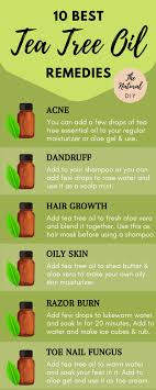 Tea tree essential oil has antibacterial, antiseptic, and antiviral properties which may help you deal with bacteria and other microorganisms that could be if you're still unsure about what tea tree essential oil can do for you, let's get into it! Tea Tree Oil Remedies Top 10 The Natural Diy